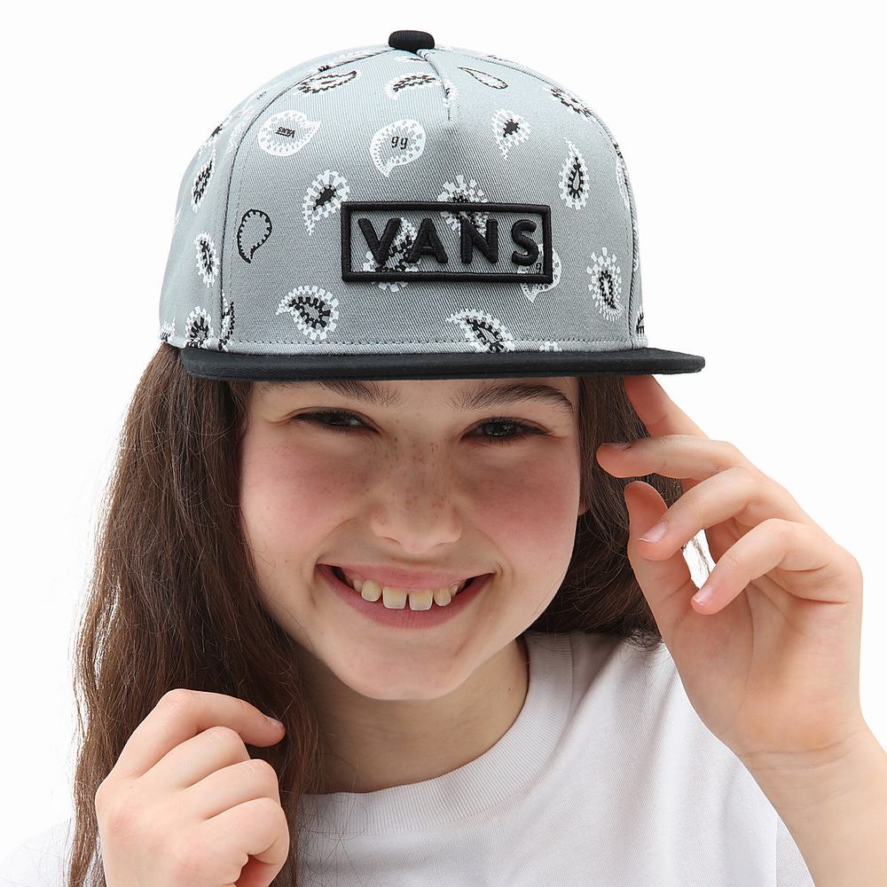 Kids' Vans Easy Box Snapback Hats Grey | USA34561