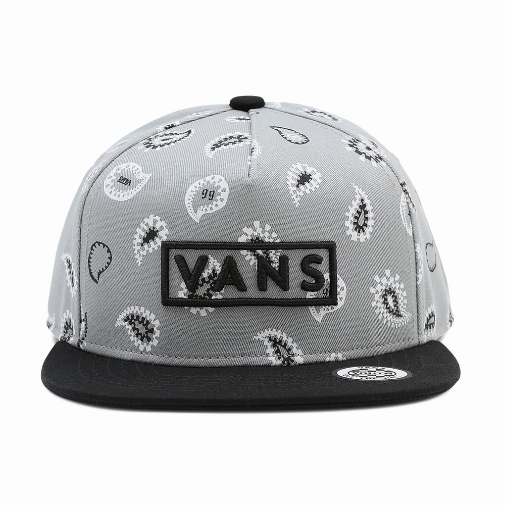 Kids\' Vans Easy Box Snapback Hats Grey | USA34561