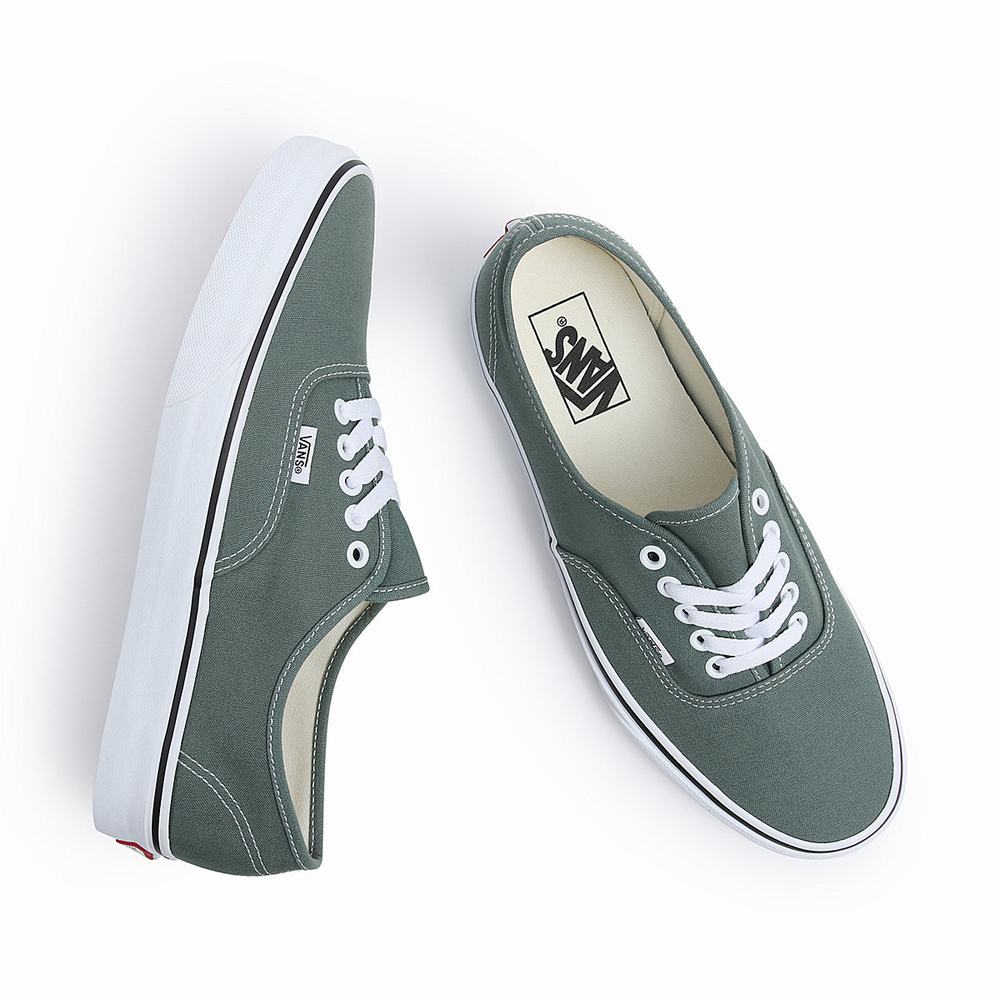 Men's Vans Authentic Sneakers Green | USA69345