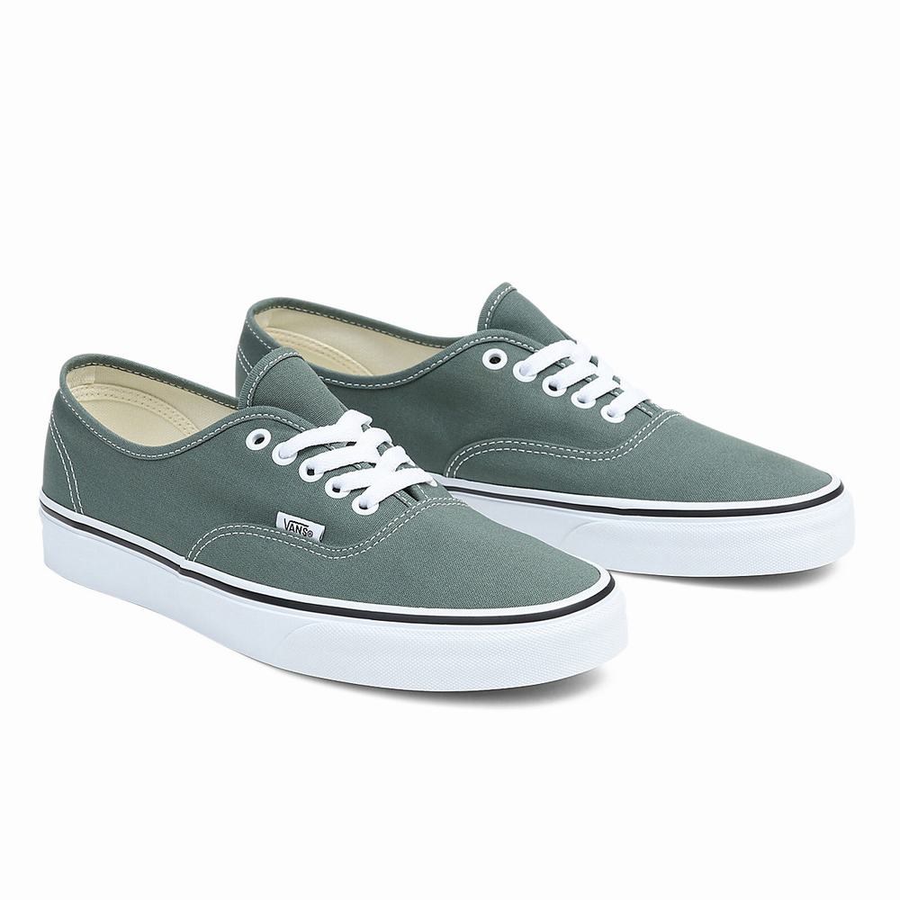 Men\'s Vans Authentic Sneakers Green | USA69345