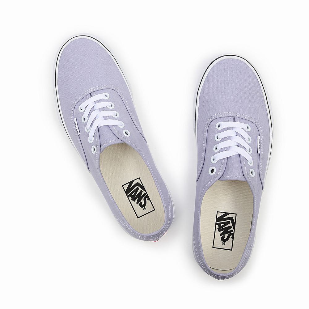 Men's Vans Authentic Sneakers Purple | USA57319