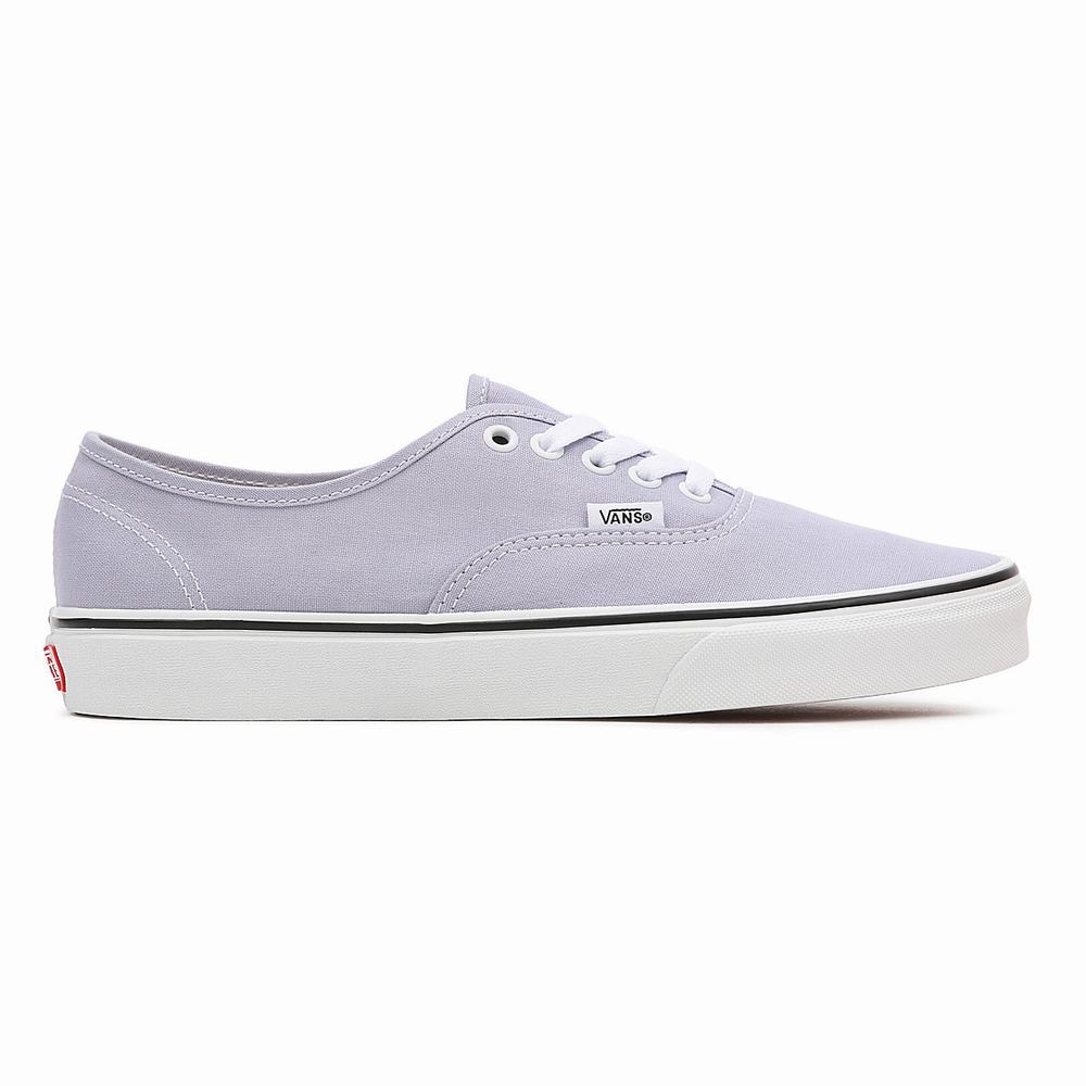 Men's Vans Authentic Sneakers Purple | USA57319