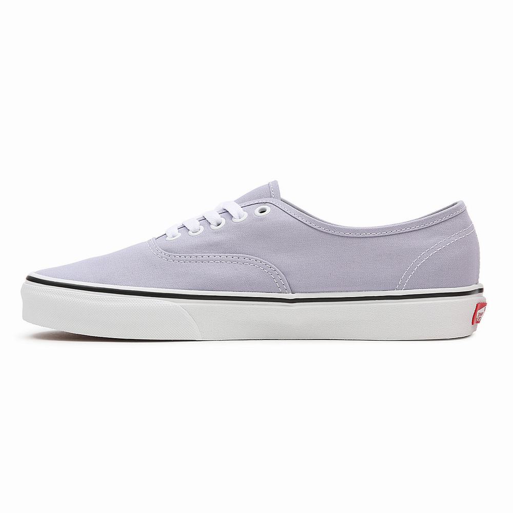 Men's Vans Authentic Sneakers Purple | USA57319