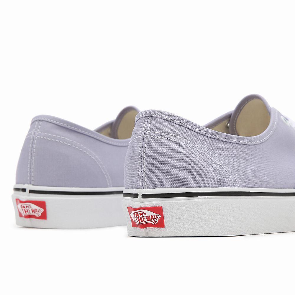 Men's Vans Authentic Sneakers Purple | USA57319