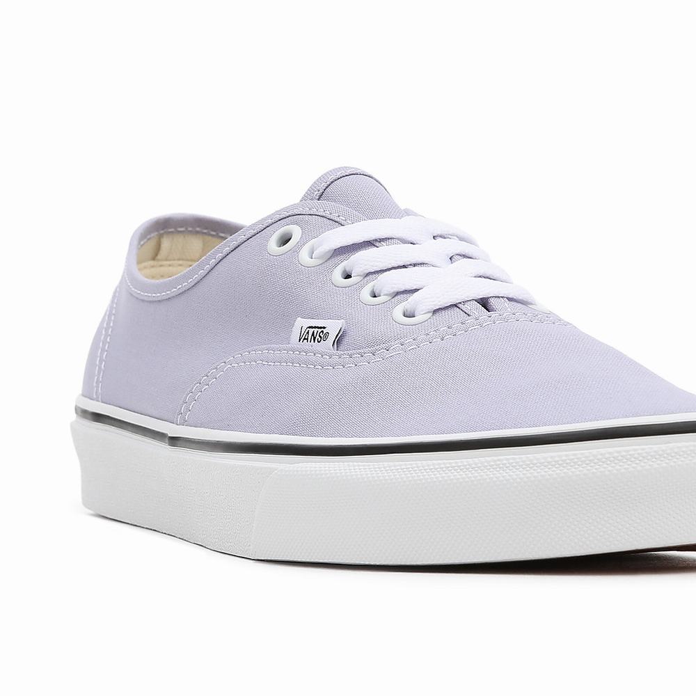 Men's Vans Authentic Sneakers Purple | USA57319