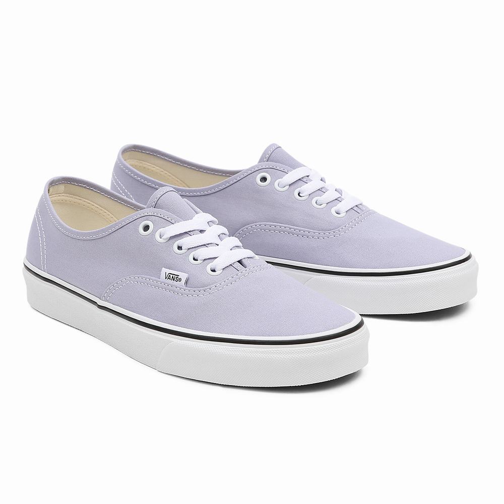 Men\'s Vans Authentic Sneakers Purple | USA57319