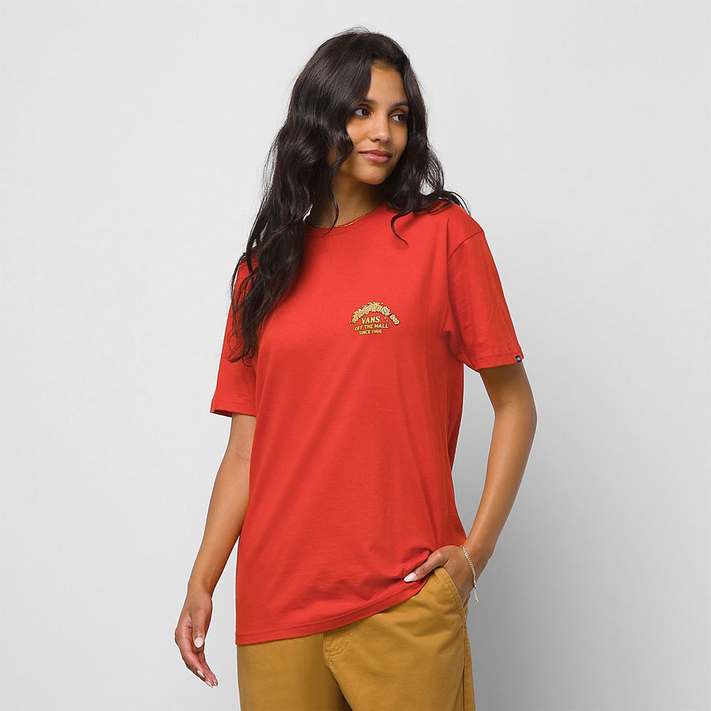 Men's Vans Cold Ones T Shirts Red | USA30572