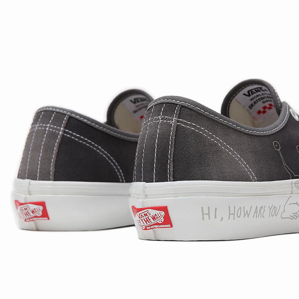 Men's Vans Daniel Johnston Skate Authentic Sneakers Grey | USA45623