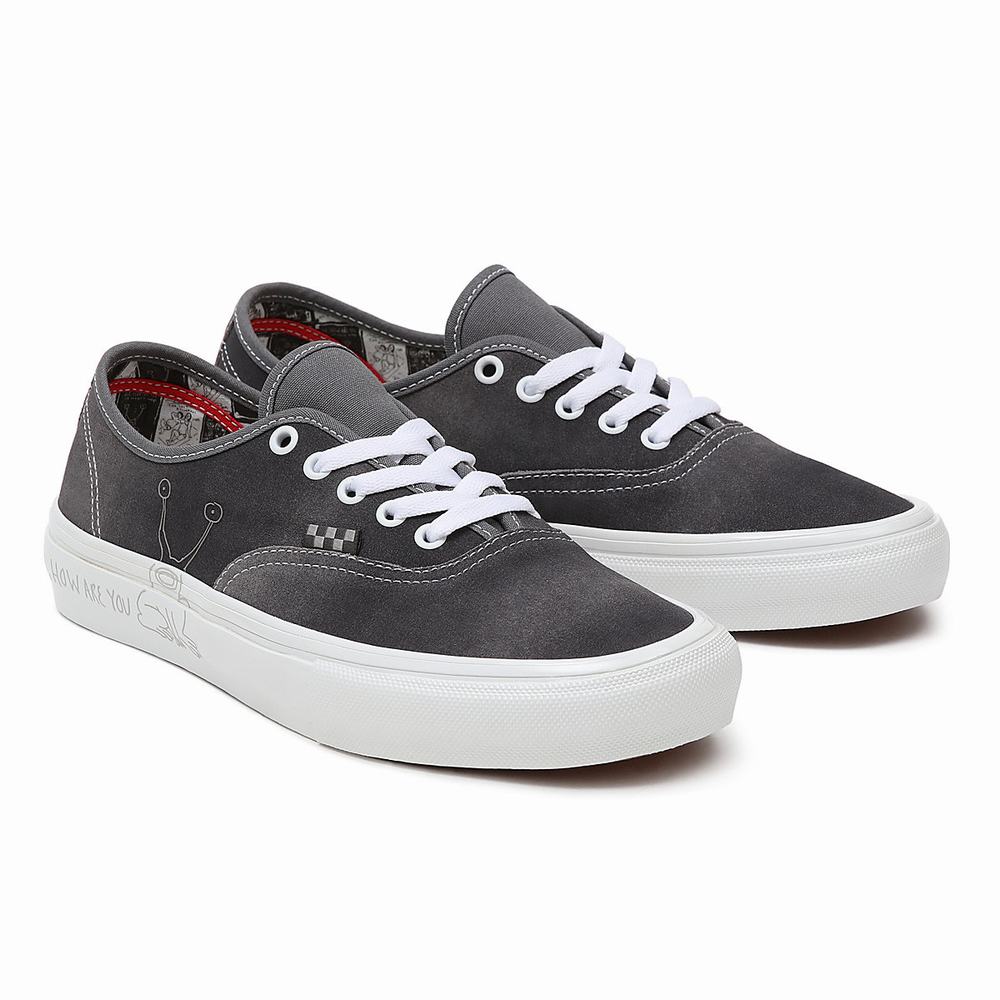 Men\'s Vans Daniel Johnston Skate Authentic Sneakers Grey | USA45623