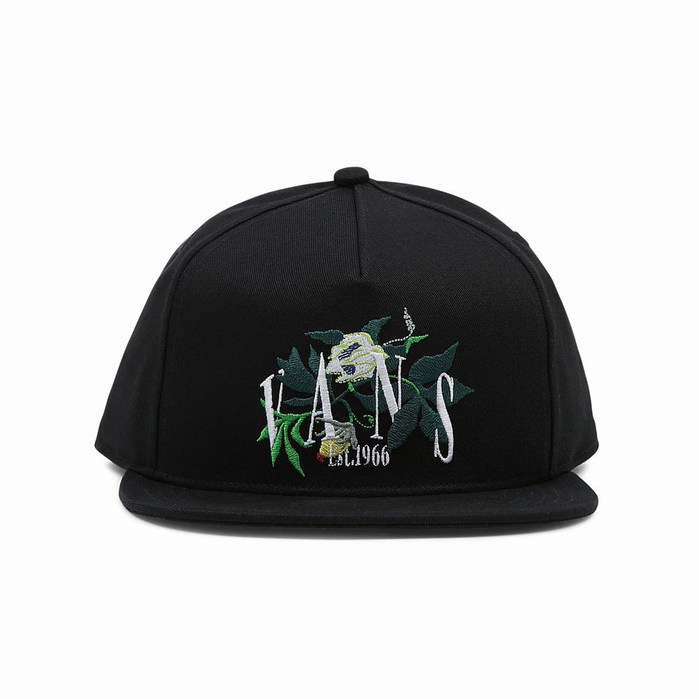 Men\'s Vans Greenhouse Snapback Hats Black | USA21764