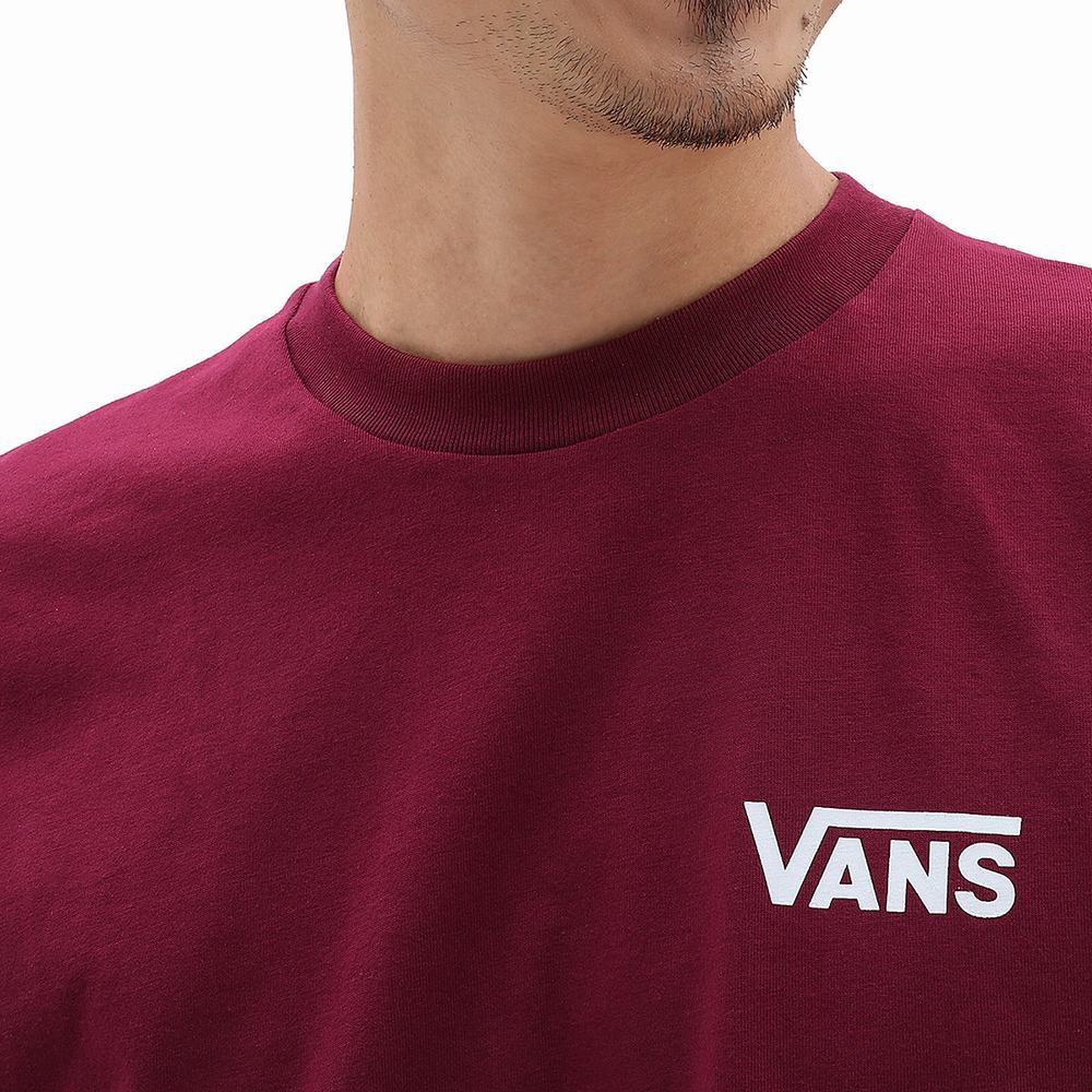 Men's Vans Offset T Shirts Multicolor | USA01475