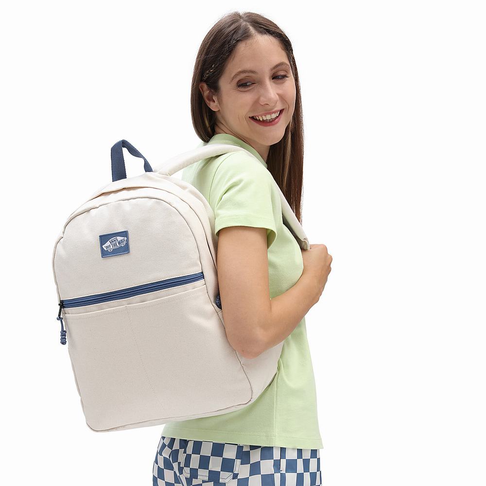 Men's Vans Skate Classics Backpacks White | USA64180