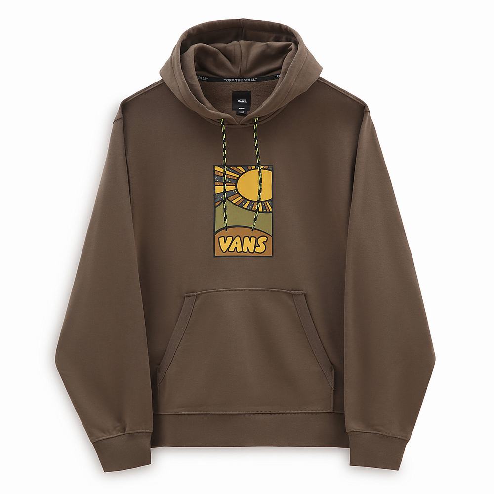 Men's Vans Skate Classics Hoodie Brown | USA63018