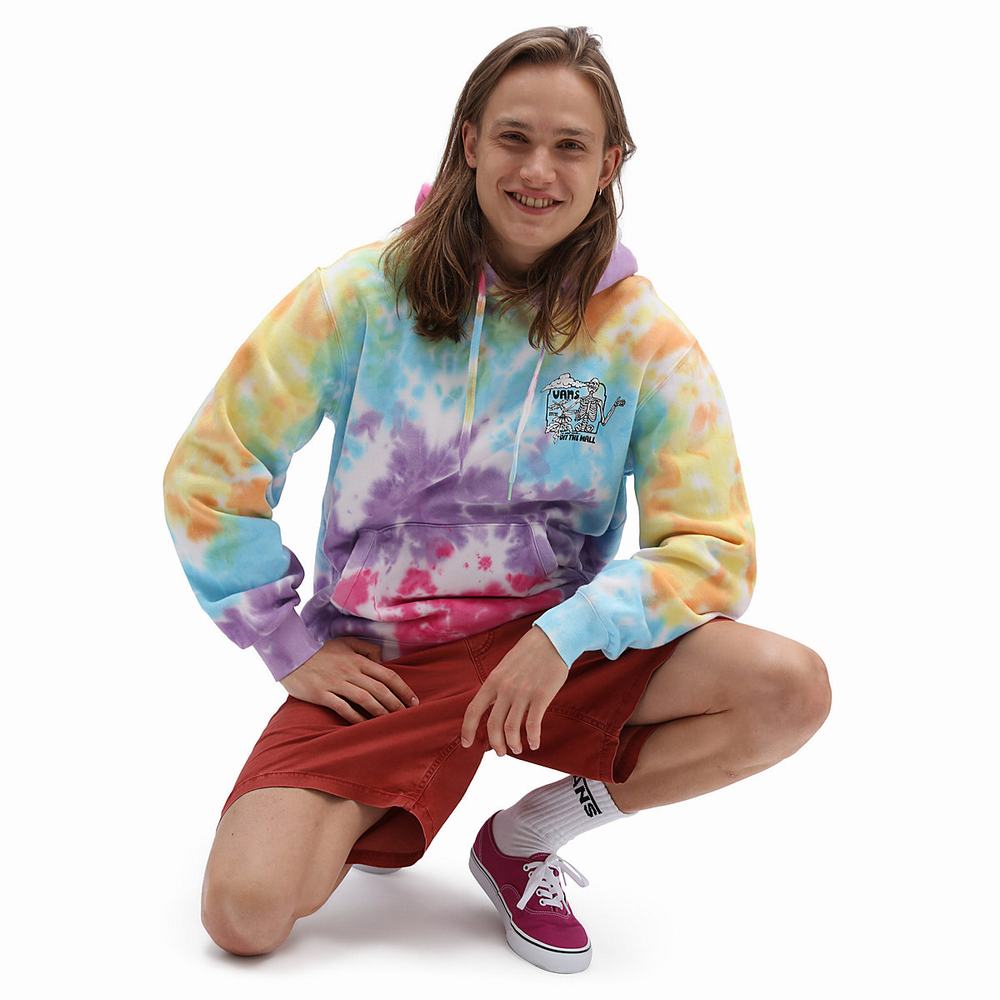 Men's Vans Skate Classics Pullover Multicolor | USA56481