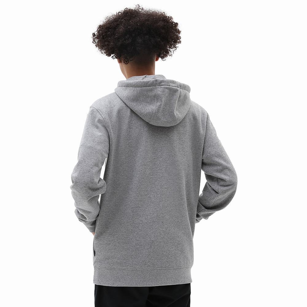 Men's Vans Skate Graphic Hoodie Grey | USA30781