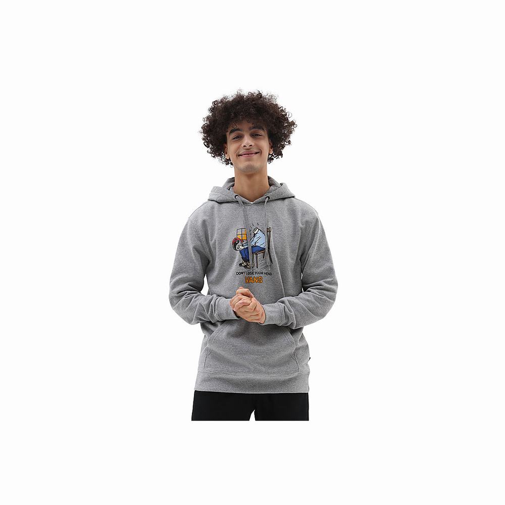 Men\'s Vans Skate Graphic Hoodie Grey | USA30781