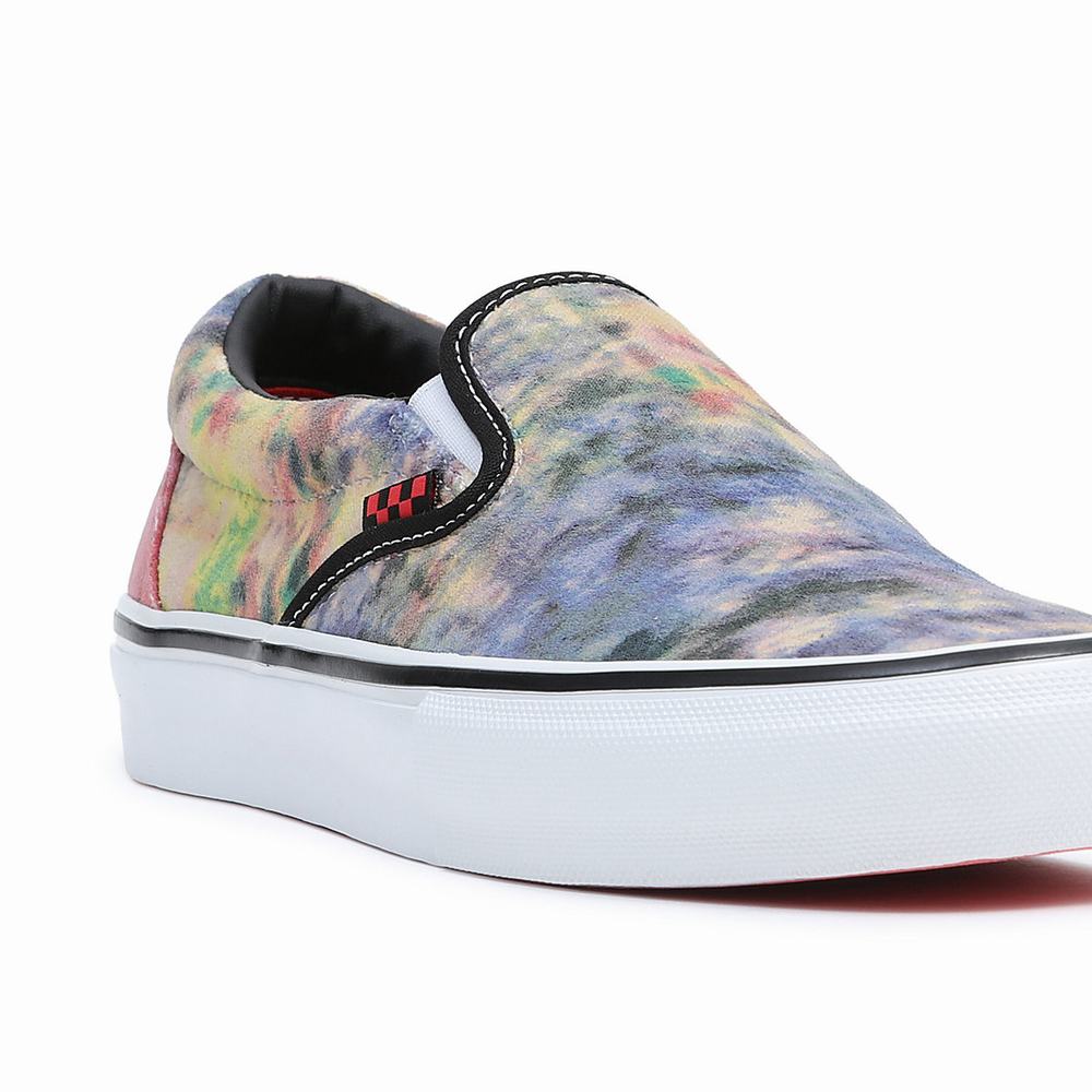 Men's Vans Skate Slip On Shoes Multicolor | USA01238