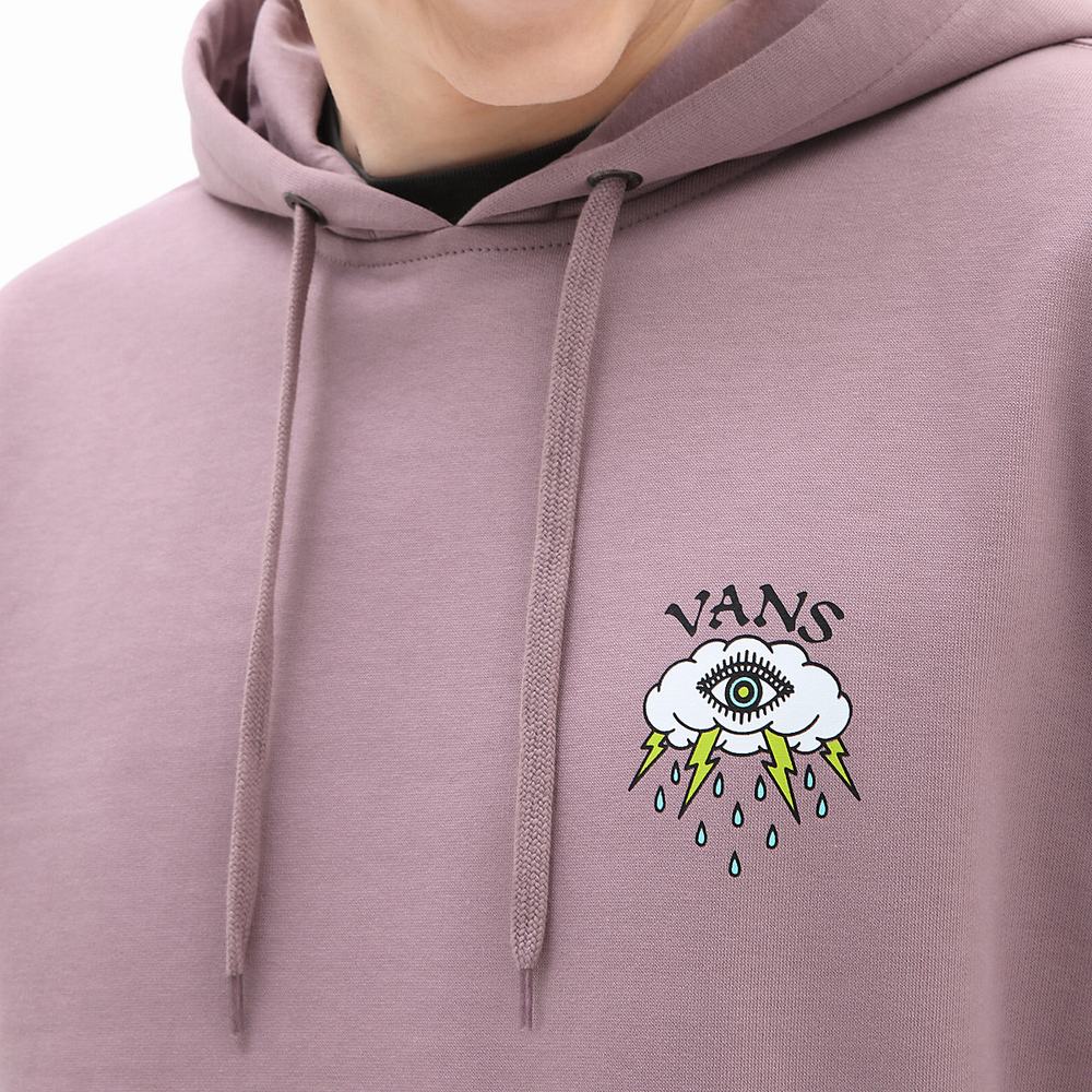 Men's Vans Storm Daze Hoodie Pink | USA12376