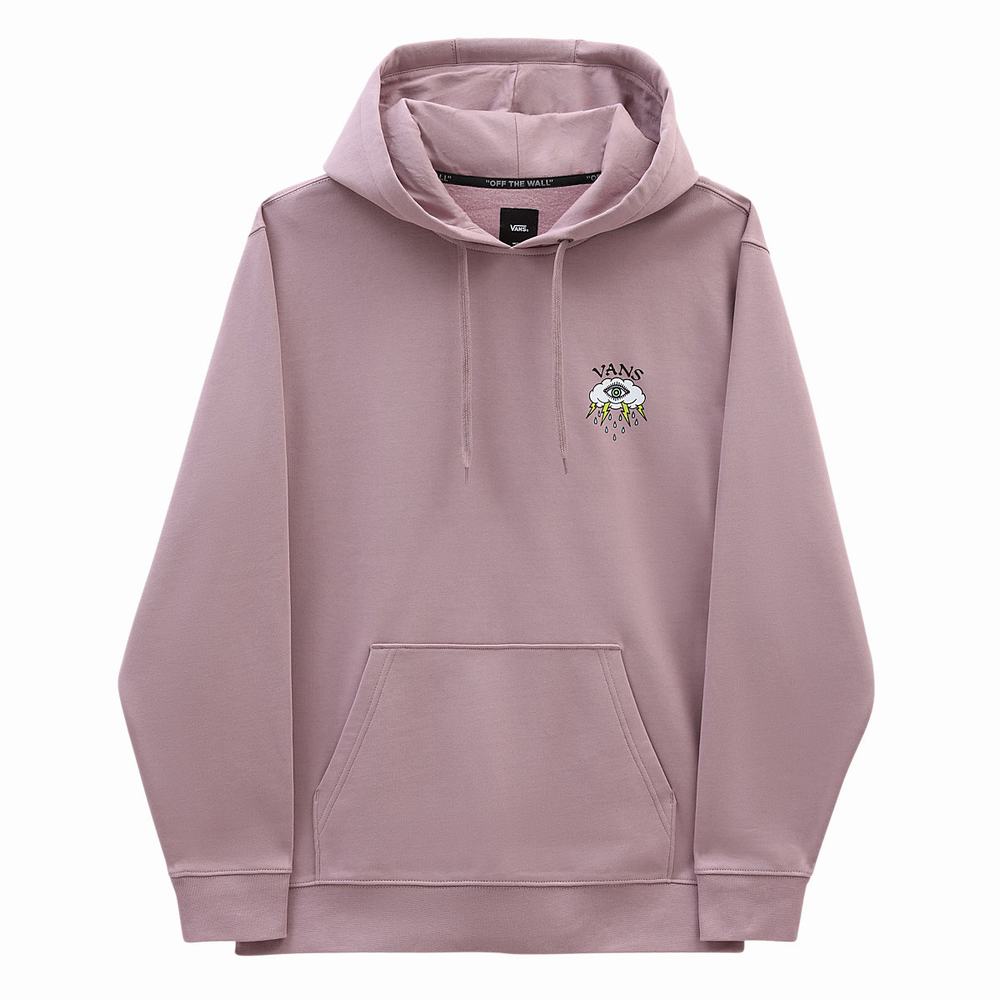 Men's Vans Storm Daze Hoodie Pink | USA12376