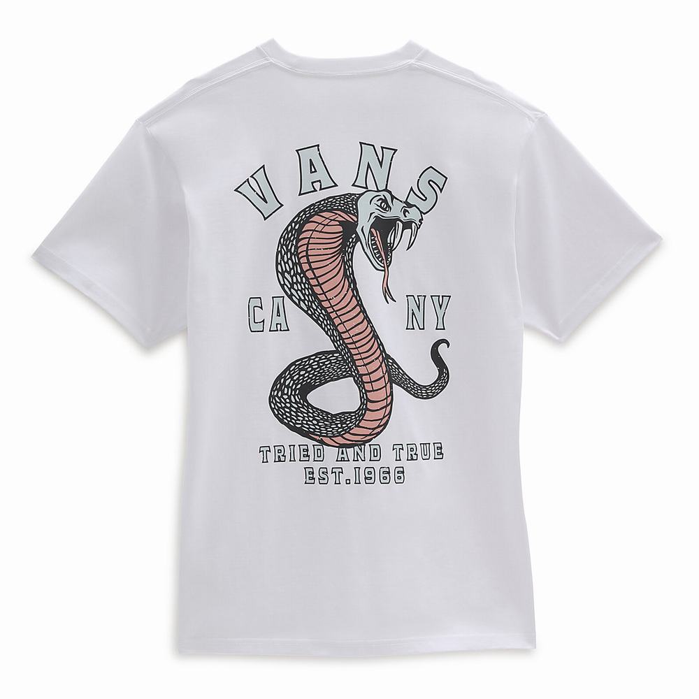 Men's Vans Striked T Shirts White | USA75892