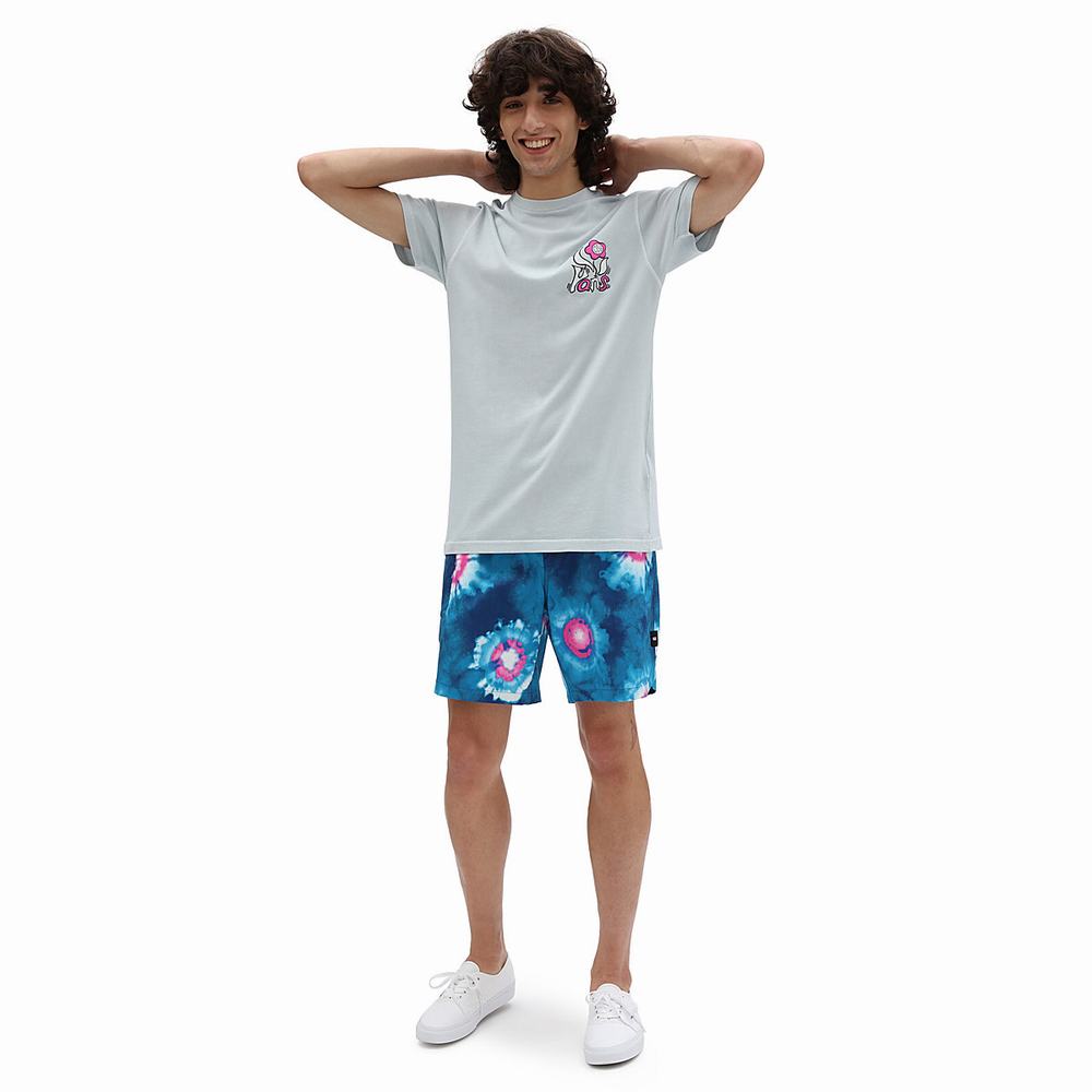 Men's Vans Surf Volley Shorts Blue / Multicolor | USA98346