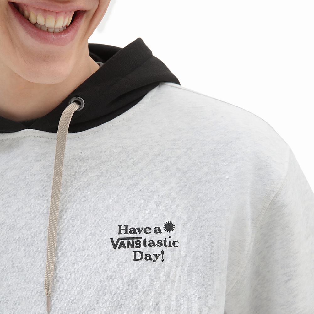 Men's Vans tastic Opposite Hoodie White | USA83194