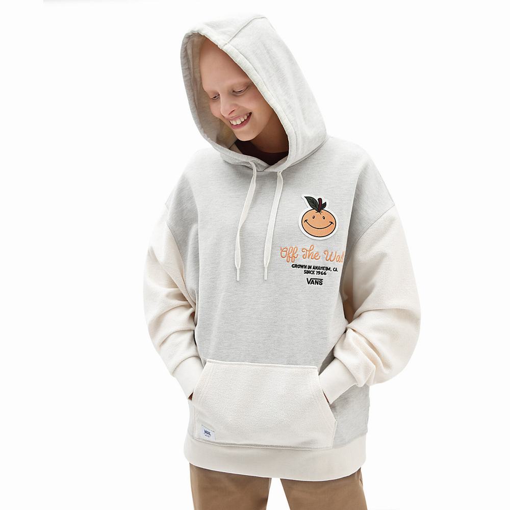 Women\'s Vans Anaheim OG Hoodie Grey | USA18057