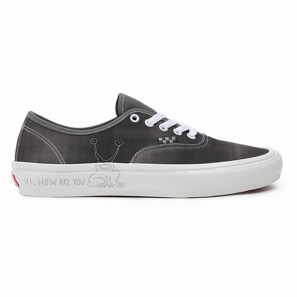 Women's Vans Daniel Johnston Skate Authentic Sneakers Grey | USA59067