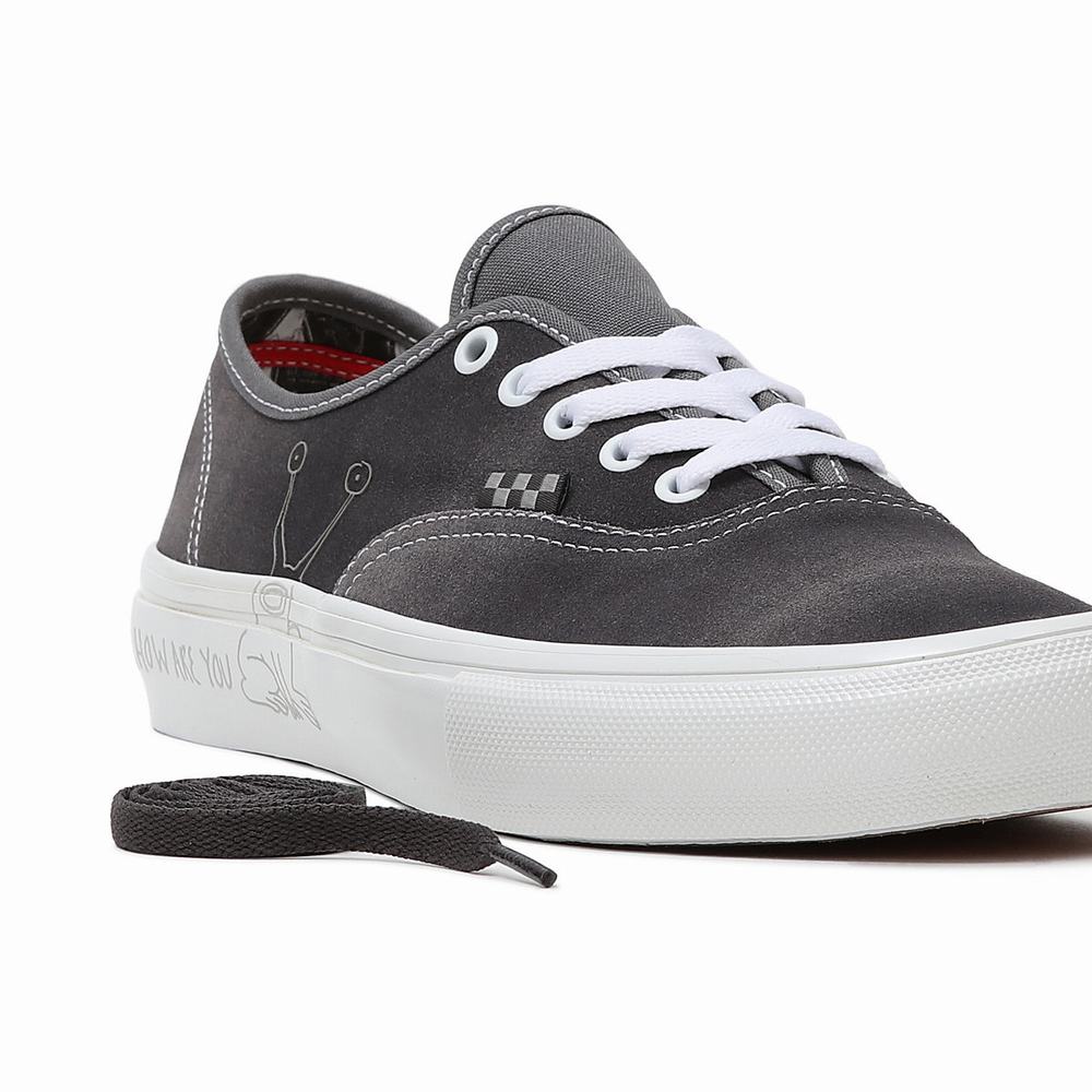 Women's Vans Daniel Johnston Skate Authentic Sneakers Grey | USA59067