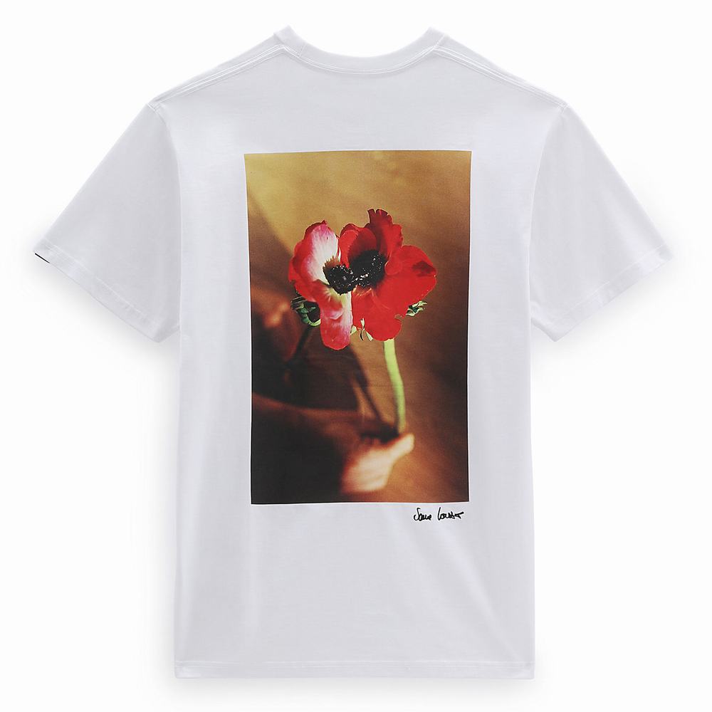 Women's Vans Pride OTW Gallery II T Shirts White | USA81430