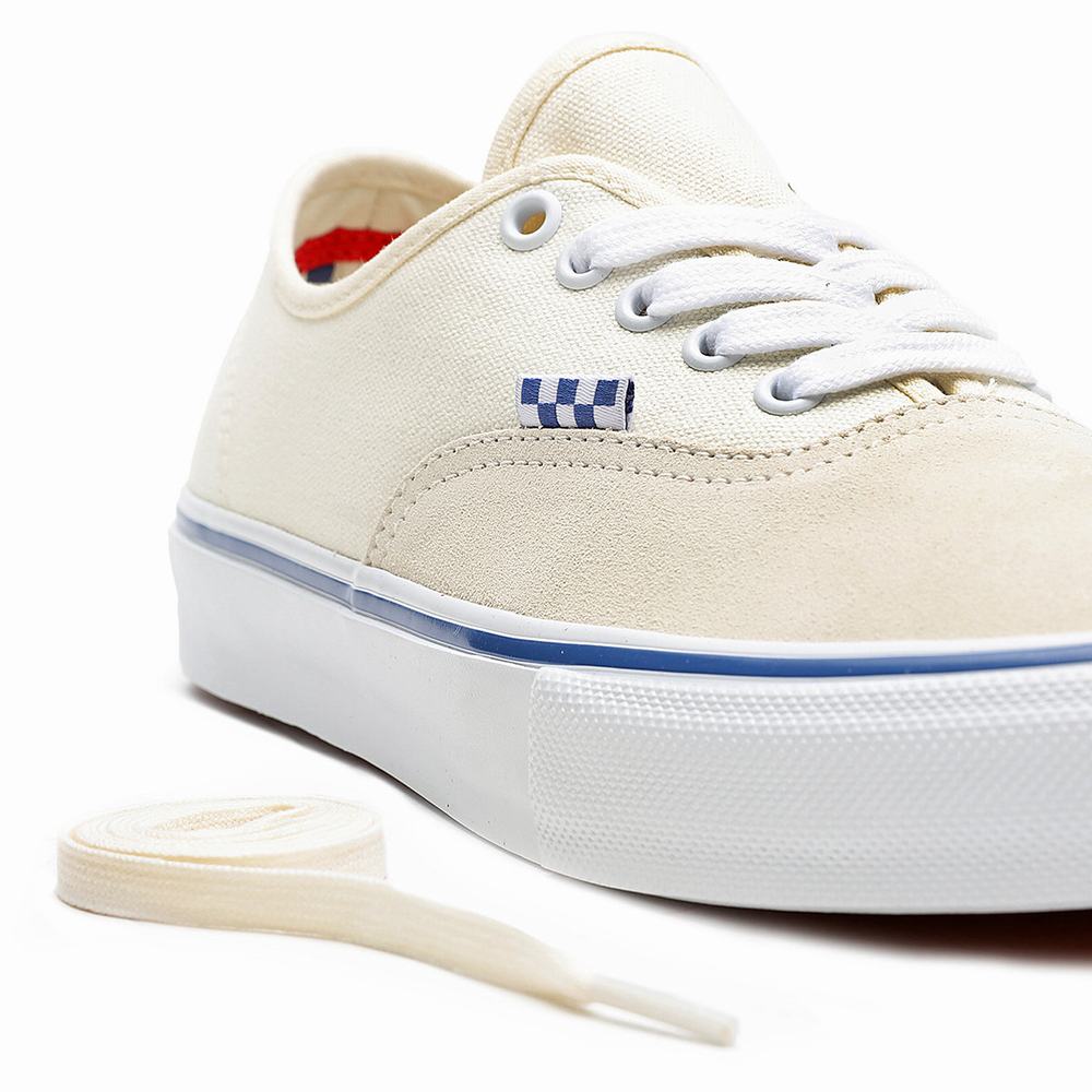 Women's Vans Skate Authentic Low Top Shoes White | USA19376