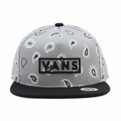 Kids' Vans Easy Box Snapback Hats Grey | USA34561