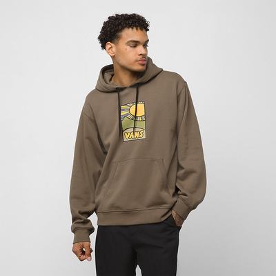 Men's Vans Skate Classics Hoodie Brown | USA63018